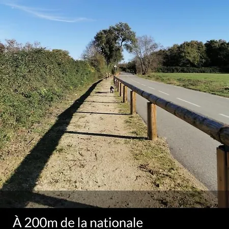 Santa Karina Linguizzetta