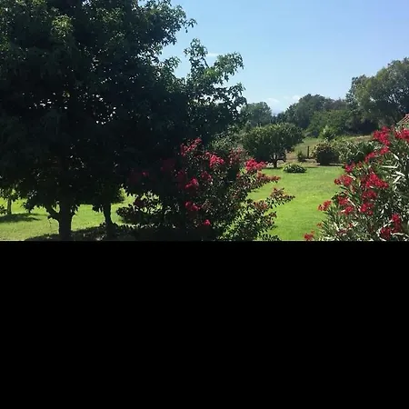 Santa Karina Lägenhet Linguizzetta