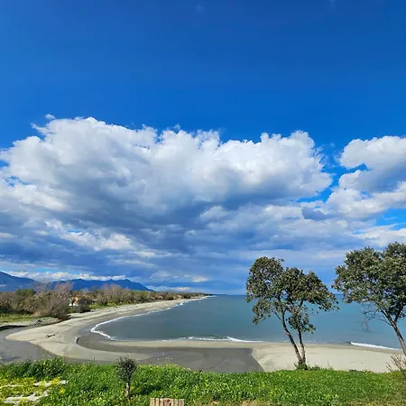 Santa Karina Linguizzetta