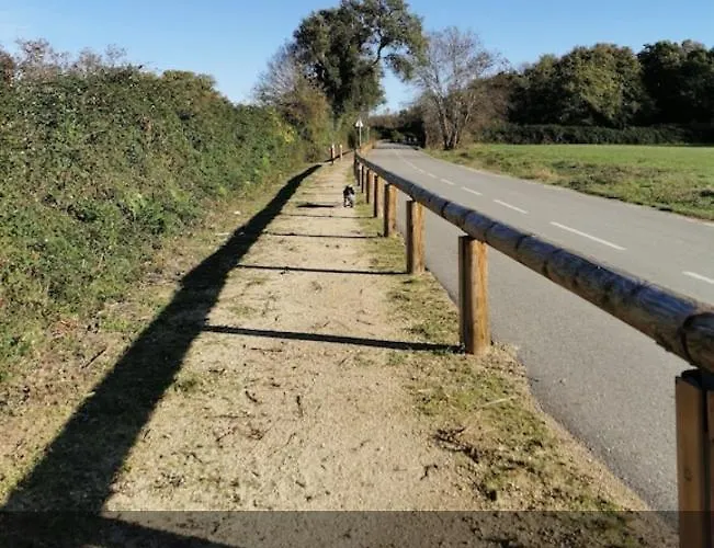 Santa Karina Linguizzetta