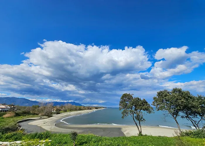 Santa Karina Linguizzetta